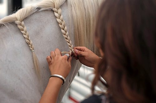 27072023
Grace Macza of High River, Alberta, braids her horse Wizard&#x2019;s mane before the first go-round of the Manitoba Threshermen&#x2019;s Reunion and Stampede rodeo near Austin, Manitoba on Thursday evening. Macza is competing in roping and barrel racing at the rodeo. (Tim Smith/The Brandon Sun)