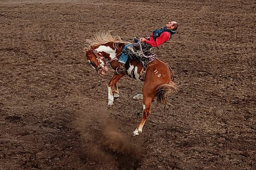 27072023
A cowboy is bucked but holds on during the ranch bronc riding event at the first go-round of the Manitoba Threshermen&#x2019;s Reunion and Stampede rodeo near Austin, Manitoba on Thursday evening.  (Tim Smith/The Brandon Sun)
