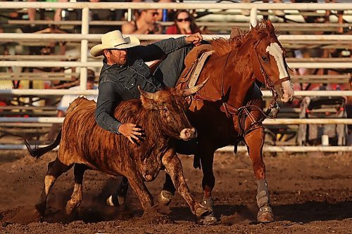 27072023
Adam Gilchrist of Maple Creek, SK, slides off his horse to grab a steer during the steer wrestling event at the first go-round of the Manitoba Threshermen&#x2019;s Reunion and Stampede rodeo near Austin, Manitoba on Thursday evening.  (Tim Smith/The Brandon Sun)