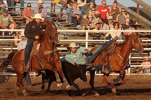 27072023
Scott Sigfusson of Tugaske, SK, slides off his horse to grab ahold of a steer during the steer wrestling event at the first go-round of the Manitoba Threshermen&#x2019;s Reunion and Stampede rodeo near Austin, Manitoba on Thursday evening.  (Tim Smith/The Brandon Sun)