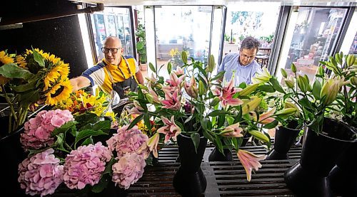 MIKAELA MACKENZIE / WINNIPEG FREE PRESS

Costa (left) and Ernest Cholakis, co-owners of Broadway Florists, at the flower shop on Academy on Monday, July 31, 2023. They are celebrating 100 years open this September. For Gabby Piche story.
Winnipeg Free Press 2023