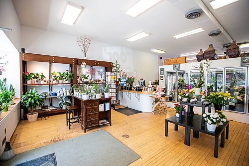 MIKAELA MACKENZIE / WINNIPEG FREE PRESS

Broadway Florists, which is celebrating 100 years open this September, on Academy on Monday, July 31, 2023. For Gabby Piche story.
Winnipeg Free Press 2023