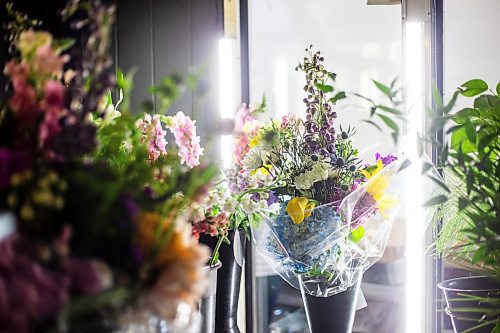 MIKAELA MACKENZIE / WINNIPEG FREE PRESS

Broadway Florists, which is celebrating 100 years open this September, on Academy on Monday, July 31, 2023. For Gabby Piche story.
Winnipeg Free Press 2023