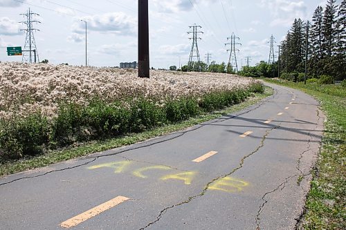Mike Thiessen / Winnipeg Free Press 
Anti-police slogans were spray painted on the River Road bike path, part of the World Police and Fire Games mini-marathon track. For Erik Pindera. 230731 &#x2013; Monday, July 31, 2023