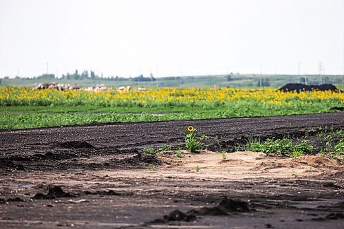 MIKAELA MACKENZIE / WINNIPEG FREE PRESS

CentrePort Canada Rail Park, which will soon host tenant Fastfrate Group, on Tuesday, Aug. 1, 2023. For Gabby Piche story.
Winnipeg Free Press 2023