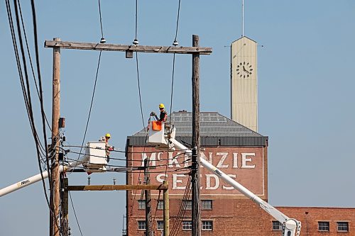 Workers with Altec work on power lines between Ninth and 10th streets in downtown Brandon in view of the McKenzie Seeds building on Thursday. (Tim Smith/The Brandon Sun)