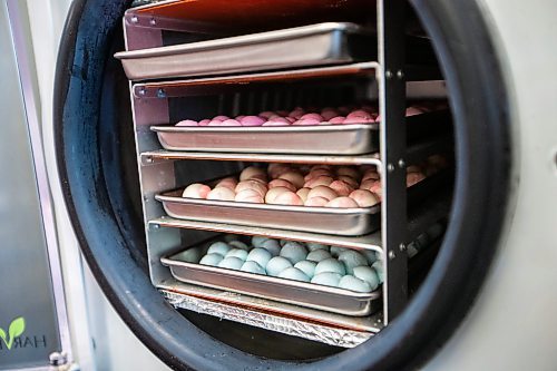 MIKAELA MACKENZIE / WINNIPEG FREE PRESS

Saltwater taffy after being freeze-dried at the commercial kitchen where they freeze-dry the candy on Wednesday, Aug. 2, 2023. For Dave Sanderson story.
Winnipeg Free Press 2023