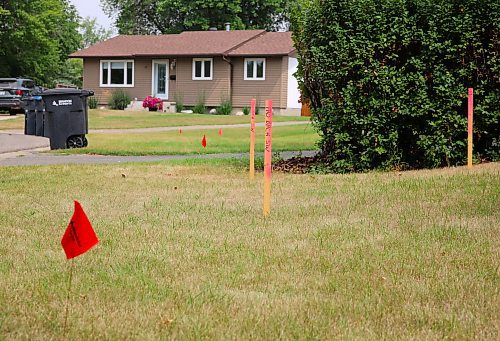Flags and posts are in place on Macleod Drive in Brandon on Friday, showing where a new sidewalk will be built. (Michele McDougall/The Brandon Sun) 
