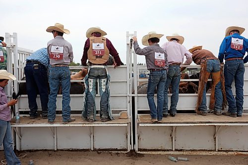 04082023
Cowboys get ready to compete in the High School Saddle Bronc Riding event at the Canadian High School Finals Rodeo at the Keystone Centre in Brandon on Friday. The rodeo continues today.
(Tim Smith/The Brandon Sun)