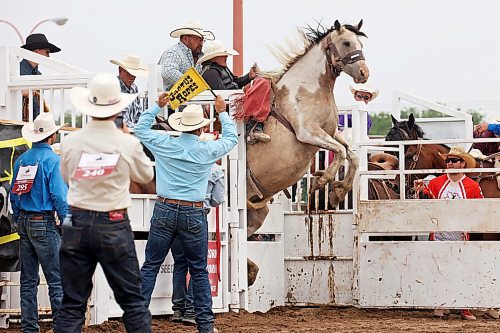 04082023
A bucking horse rears up in the chute as Hunter Sippola tries to hold on during the High School Saddle Bronc Riding event at the Canadian High School Finals Rodeo at the Keystone Centre in Brandon on Friday. The rodeo continues today.
(Tim Smith/The Brandon Sun)