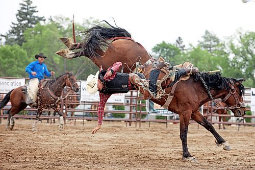 04082023
Calvin Webster is bucked off his horse during the High School Saddle Bronc Riding event at the Canadian High School Finals Rodeo at the Keystone Centre in Brandon on Friday. The rodeo continues today.
(Tim Smith/The Brandon Sun)