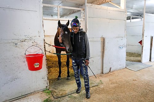 RUTH BONNEVILLE / WINNIPEG FREE PRESS
49.8 Feature - Downs Horse Trainer (80yrs)
Doug Mustard works as a horse trainer at the Assiniboine Downs. He's 80-years old! His family has been in the business since the track opened in 1958. His job is very physical which he says keeps him young. Despite the fact that he walks with a limp and needs a knee operation, he continues to work full-time with his wife Judy training race horses because he loves it!
Spent the day with Doug and his wife Judy at the track. Photos of him breaking in a newly acquired horse in the early morning hours on the horse walker, cleaning stalls, feeding, grooming etc.
See Ben's feature story on the long life of a horse trainer.
August 1st, 2023