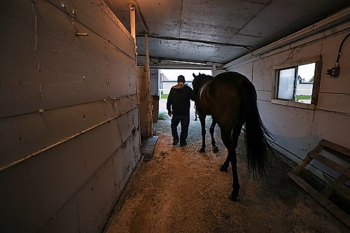 RUTH BONNEVILLE / WINNIPEG FREE PRESS
49.8 Feature - Downs Horse Trainer (80yrs)
Doug Mustard works as a horse trainer at the Assiniboine Downs. He's 80-years old! His family has been in the business since the track opened in 1958. His job is very physical which he says keeps him young. Despite the fact that he walks with a limp and needs a knee operation, he continues to work full-time with his wife Judy training race horses because he loves it!
Spent the day with Doug and his wife Judy at the track. Photos of him breaking in a newly acquired horse in the early morning hours on the horse walker, cleaning stalls, feeding, grooming etc.
See Ben's feature story on the long life of a horse trainer.
August 1st, 2023