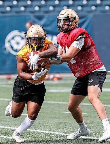 JOHN WOODS / WINNIPEG FREE PRESS
University of Manitoba Bisons quarterback Jackson Tachinski (14) hands off to Vaughan Lloyd (15) at practice in Winnipeg, Sunday, August 13, 2023. 

Reporter: taylor