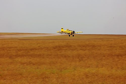 15082023
An aerial sprayer dips low over a crop while spraying south of Wawanesa on a smoky Tuesday. 
(Tim Smith/The Brandon Sun)