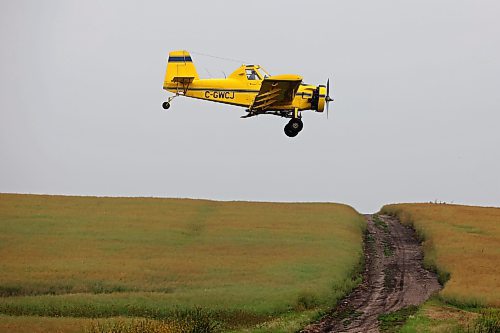 15082023
An aerial sprayer flies low over a machinery road while spraying a crop south of Wawanesa on a smoky Tuesday. 
(Tim Smith/The Brandon Sun)