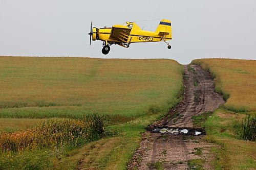 15082023
An aerial sprayer flies low over a machinery road while spraying a crop south of Wawanesa on a smoky Tuesday. 
(Tim Smith/The Brandon Sun)