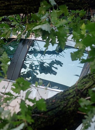 Mike Thiessen / Winnipeg Free Press 
Several cars in the East Kildonan area were hit by falling trees following a major thunderstorm early Thursday evening. 230824 &#x2013; Thursday, August 24, 2023