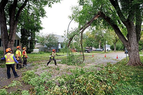MIKE DEAL / WINNIPEG FREE PRESS
City of Winnipeg arborists clear a large tree limb that came down on Leighton Avenue the morning after a storm ripped through the East Kildonan area knocking down tree limbs and damaging property with hail.
230825 - Friday, August 25, 2023.