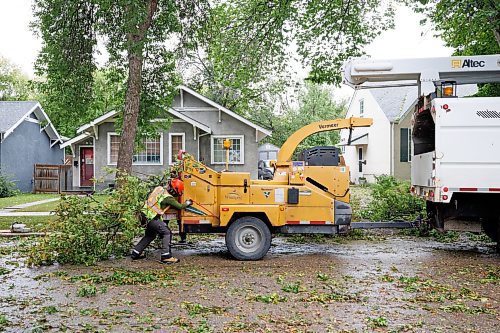 MIKE DEAL / WINNIPEG FREE PRESS
City of Winnipeg arborists clear a large tree limb that came down on Leighton Avenue the morning after a storm ripped through the East Kildonan area knocking down tree limbs and damaging property with hail.
230825 - Friday, August 25, 2023.