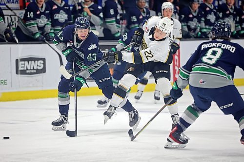Brandon Wheat Kings forward Evan Groening fires a shot on net during Western Hockey League action against the Seattle Thunderbirds at Westoba Place last season. He had seven goals in his rookie campaign. (Tim Smith/The Brandon Sun)