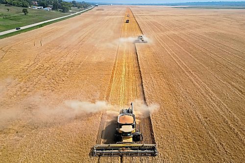 29082023
Combines harvest a crop along Grand Valley Road west of Brandon on a smoky Tuesday.
(Tim Smith/The Brandon Sun)