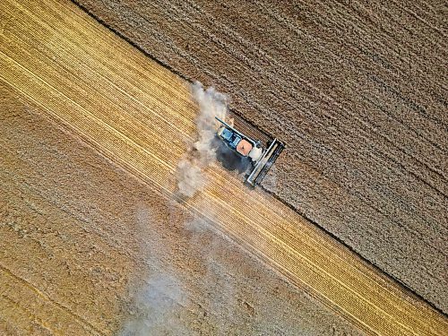 29082023
A combine harvests a crop along Grand Valley Road west of Brandon on a smoky Tuesday.
(Tim Smith/The Brandon Sun)