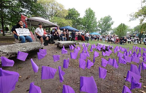Four hundred and eighteen purple flags planted in front of the stage at Princess Park represent those who died of overdose druge poisoning in 2022, during a ceremony in Brandon to mark International Overdose Awareness Day on Thursday afternoon. (Matt Goerzen/The Brandon Sun)