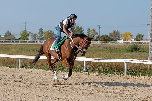 MIKE DEAL / WINNIPEG FREE PRESS
Jockey Tim Tarasenco on Dunn Rite, being trained by Shaun Morin, Friday morning at the Assiniboia Downs.
See George Williams story
230901 - Friday, September 01, 2023.