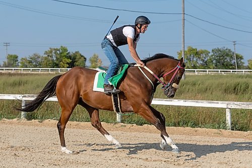 MIKE DEAL / WINNIPEG FREE PRESS
Jockey Tim Tarasenco on Dunn Rite, being trained by Shaun Morin, Friday morning at the Assiniboia Downs.
See George Williams story
230901 - Friday, September 01, 2023.