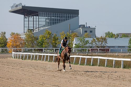 MIKE DEAL / WINNIPEG FREE PRESS
Jockey Tim Tarasenco on Dunn Rite, being trained by Shaun Morin, Friday morning at the Assiniboia Downs.
See George Williams story
230901 - Friday, September 01, 2023.