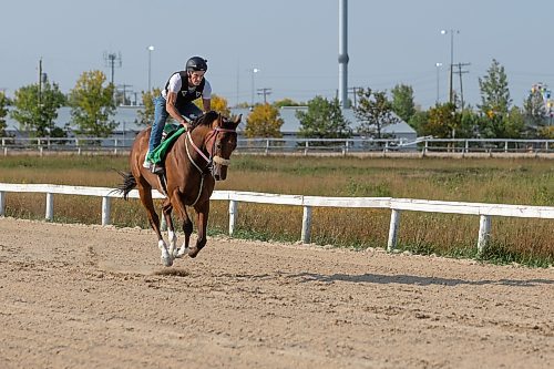 MIKE DEAL / WINNIPEG FREE PRESS
Jockey Tim Tarasenco on Dunn Rite, being trained by Shaun Morin, Friday morning at the Assiniboia Downs.
See George Williams story
230901 - Friday, September 01, 2023.