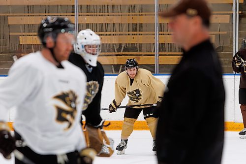 MIKE DEAL / WINNIPEG FREE PRESS
University of Manitoba men&#x2019;s Bison Hockey player, Andre Sutter, during practice at Wayne Fleming Arena Wednesday morning. 
See Mike Sawatzky story
230906 - Wednesday, September 06, 2023.