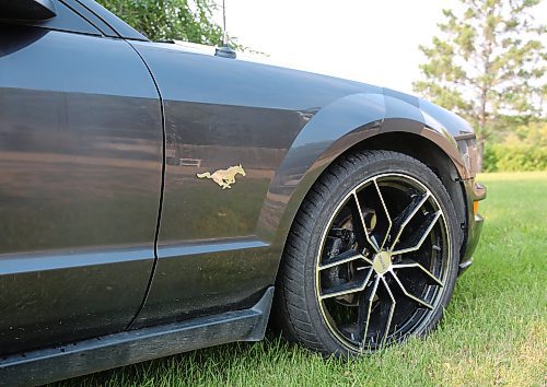 A close up of the wild horse logo on Patsy Desjardin's 2008 Mustang in Brandon on Thursday. (Michele McDougall/The Brandon Sun) 