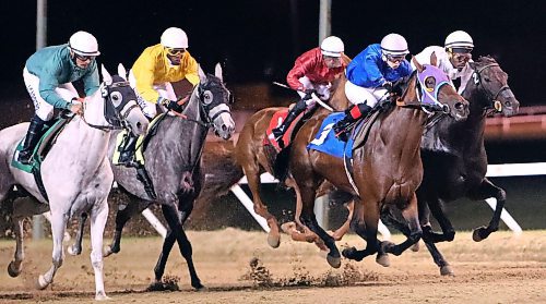 Jason Halstead / Winnipeg Free Press
Jockey Fraser Aebly leads the way on Flying to the Line (#3) as Race 6 at Assiniboia Downs got underway on Sept. 4, 2023. Flying to the Line finished fourth in the race.