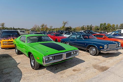 MIKE DEAL / WINNIPEG FREE PRESS
Associated Auto Auction is holding the largest collector car auction ever in Manitoba, with online pre-bidding starting Friday, September 8.
See Martin Cash  story
230907 - Thursday, September 07, 2023.