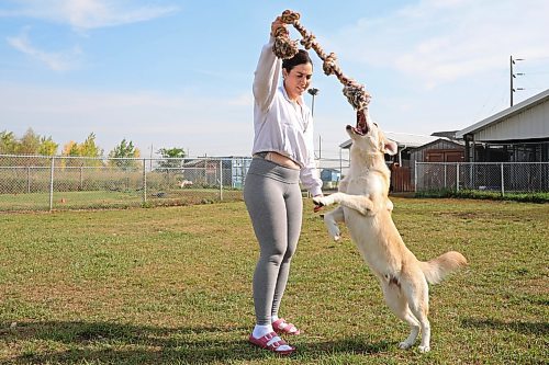 08092023
Brandon Humane Society staff member Lizanne Szabo plays with Koopa, one of the Humane Society&#x2019;s dogs needing adoption, on Friday morning. (Tim Smith/The Brandon Sun)