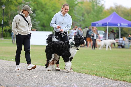 Halle and Robin Jacobson depart from Kin Park Sunday morning alongside their bernedoodle Louie during the Brandon Humane Society’s 20th Wag-A-Tail Walk-A-Thon event.  (Kyle Darbyson/The Brandon Sun)