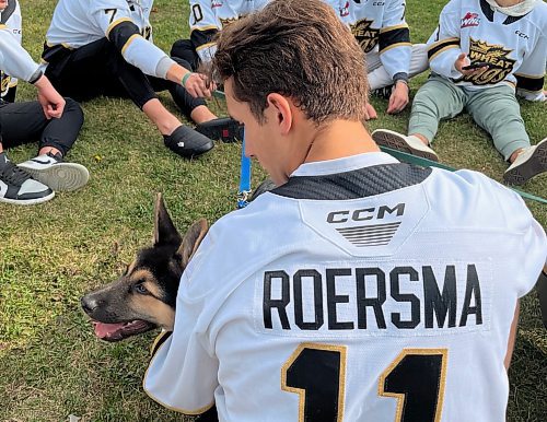 Former Brandon Humane Society puppy Fred peeks past the arm of Brandon Wheat Kings forward Rylen Roersma during the annual Wag-A-Tail Walk-A-Thon on Sunday at Kin Park. (Perry Bergson/The Brandon Sun)
Sept. 10, 2023