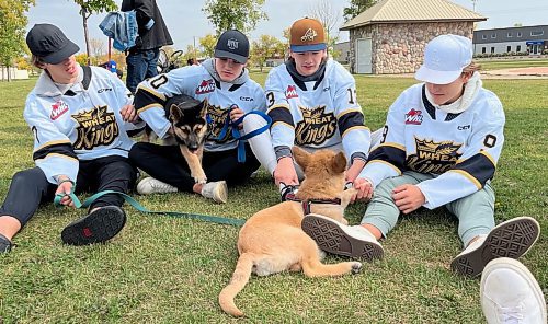 Brandon Wheat Kings Charlie Elick, Caleb Hadland, Roger McQueen and Jaxon Jacobson get down on the ground to play with a pair of former Brandon Humane Society puppies, Fred and Barney, during the annual Wag-A-Tail Walk-A-Thon on Sunday at Kin Park. The longtime relationship between the Western Hockey League club and the Humane Society has provided huge benefits for both. (Perry Bergson/The Brandon Sun)
Sept. 10, 2023

