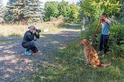 MIKE DEAL / WINNIPEG FREE PRESS
Sunny Szpak-Holly during a photo shoot with her dog, Sophie, being held by wrangler, Jill Chapman.
Sunny Szpak-Holly is photographer who takes photographs of pets &#x2013; she&#x2019;s shot bearded dragons and doves as well as more conventional pets such as dogs and cats. 
See AV Kitching story
230913 - Wednesday, September 13, 2023.