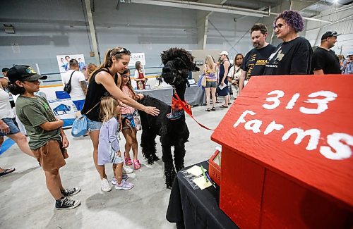 JOHN WOODS / WINNIPEG FREE PRESS
Cosette Dorge Bott and her family Ethan, Juliette and Kalianne say hello to alpaca Coleman as Dave and Anna Patman, owners of 313 Farms, a hobby farm in Anola, look on during the Manitoba Pet Expo at St Norbert community centre in Winnipeg, Sunday, June 11, 2023. 

Re: