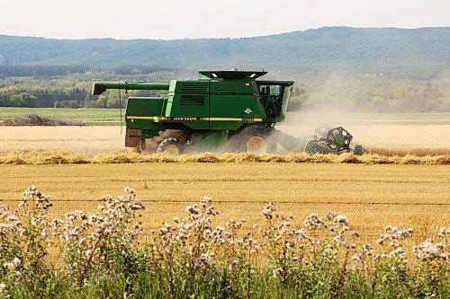 A combine works in a field just east of the hills of Riding Mountain National Park, south of Kelwood, on a recent warm day. (Tim Smith/The Brandon Sun)