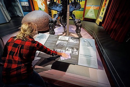 MIKE DEAL / WINNIPEG FREE PRESS
Carolyn Sirett, Senior Conservator at the Manitoba Museum, cleans the Giant Ground Sloth sign.
The Manitoba Museum was closed for a week for a full scale cleaning of its public displays.
See Eva Wasney story
230913 - Wednesday, September 13, 2023.