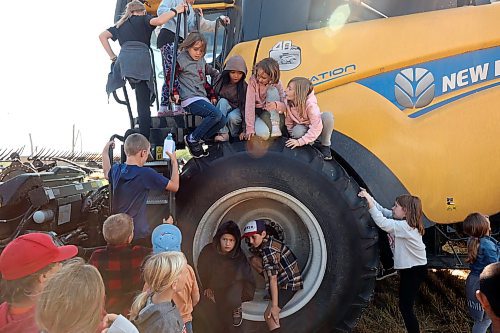 14092023
Students from Hamiota Elementary School explore a parked combine while learning about farming during the third annual Acres for Hamiota harvest west of Hamiota on warm Thursday. Acres for Hamiota raises money for community projects and organizations. This year 80 acres of wheat were seeded for the initiative and volunteers helped throughout the growing season from seeding to harvest. Donations from community members and local agriculture, seed and chemical companies helped cover the costs of growing the crop. Some of the profits from the initiative have gone towards the local golf course, the minor ball park, AED machines throughout the community and to the Hamiota Fire Department. Overnight rain meant harvesting the wheat had to be postponed but community members and students still came together for a BBQ lunch.  (Tim Smith/The Brandon Sun)