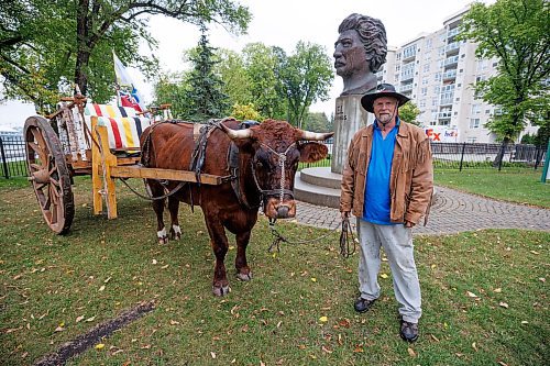 MIKE DEAL / WINNIPEG FREE PRESS
Terry Doerksen and his ox arrive at Le Musée de Saint-Boniface Museum Friday afternoon, as he finishes his Dawson Road journey.
230915 - Friday, September 15, 2023.