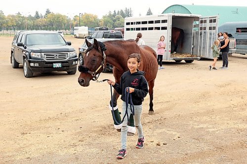 15092023
Nine-year-old Laila Bittner with Rocky Road Performance Horses walks arabian horse AK Ringo Star to a stable in the Keystone Centre in advance of the Westman Dressage Fall Festival at the Keystone Centre grounds on Friday. The Fall Festival runs until Sunday.   (Tim Smith/The Brandon Sun)