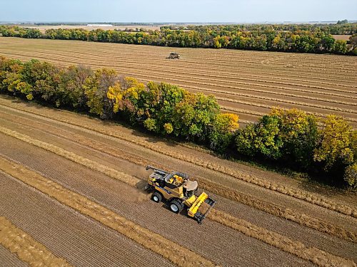 Combines harvest millet in fields north of Carberry on a sunny Monday afternoon. (Tim Smith/The Brandon Sun)