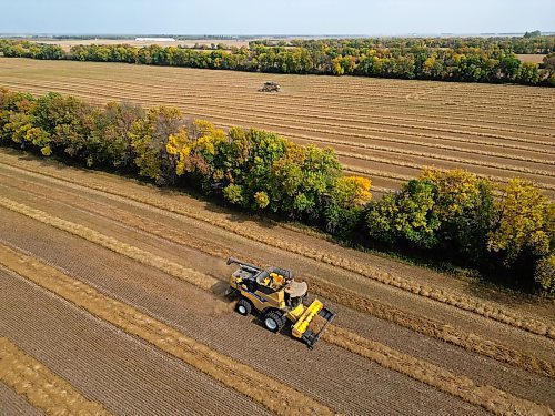 19092023
Combines harvest millet in fields north of Carberry on a sunny Monday afternoon.
(Tim Smith/The Brandon Sun)