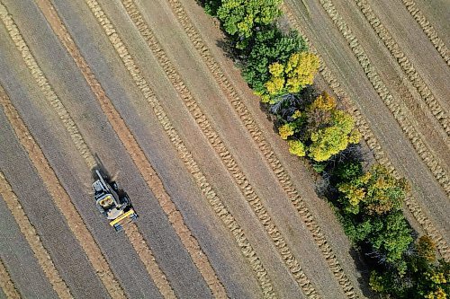 19092023
A combine harvests millet in a field north of Carberry on a sunny Monday afternoon.
(Tim Smith/The Brandon Sun)